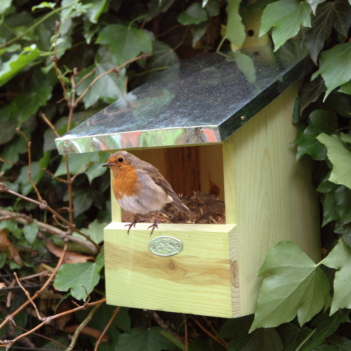 Esschert Nestkast Roodborst