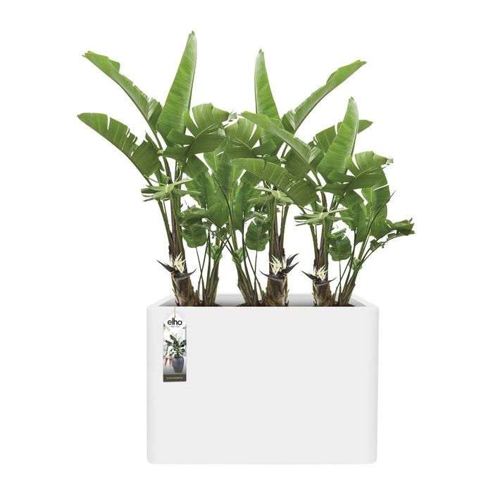 elho Pure Soft Brick Divider Plantenbak B 80 cm - Wit