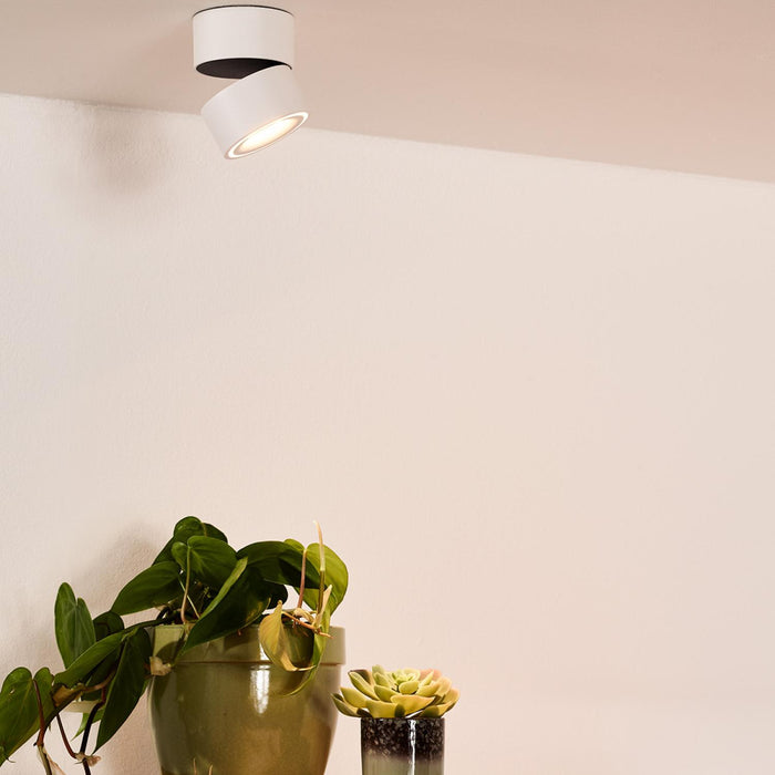 2d28a8e8-1b7e-4a73-9c30-102fdcd8e541-afbeelding4.jpg (3217339)