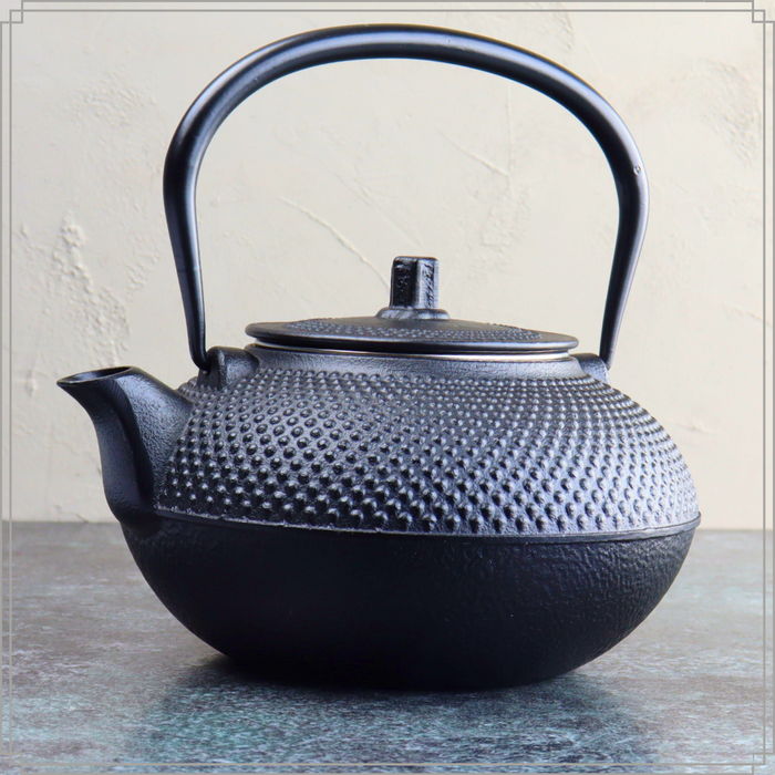 OTIX Japanse Theepot met Filter Theekan Tetsubin Zwart 1.5L Gietijzer