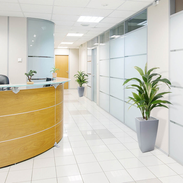 eba3bf75-5967-4880-9793-4a32a4459a8c-afbeelding10.jpg (3221675)