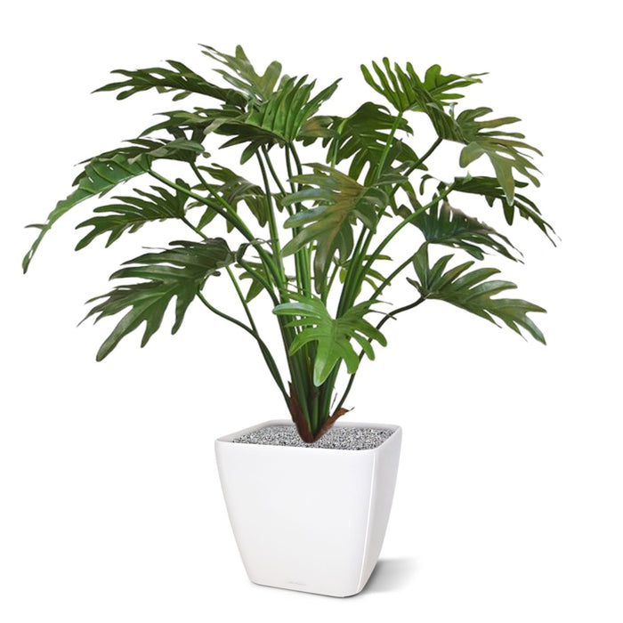 76ff2cb5-d8eb-4476-a686-70c6e71b4588-afbeelding5.jpg (3229663)