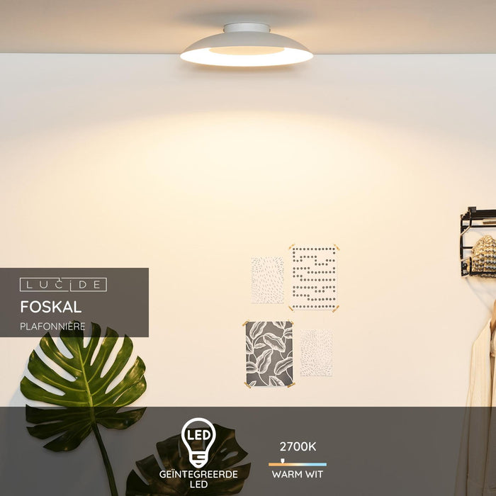 ec48bab0-89bd-4d4c-beb2-d9bbcbab5d10-sfeerbeeld.jpg (3249740)