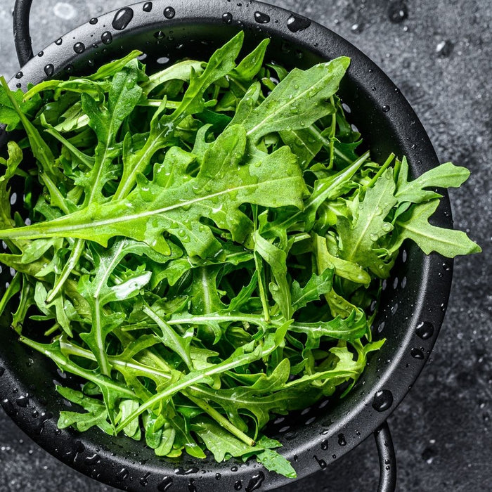 Orange85 Vergiet Zeef Zwart Metaal 240ml 20cm RVS