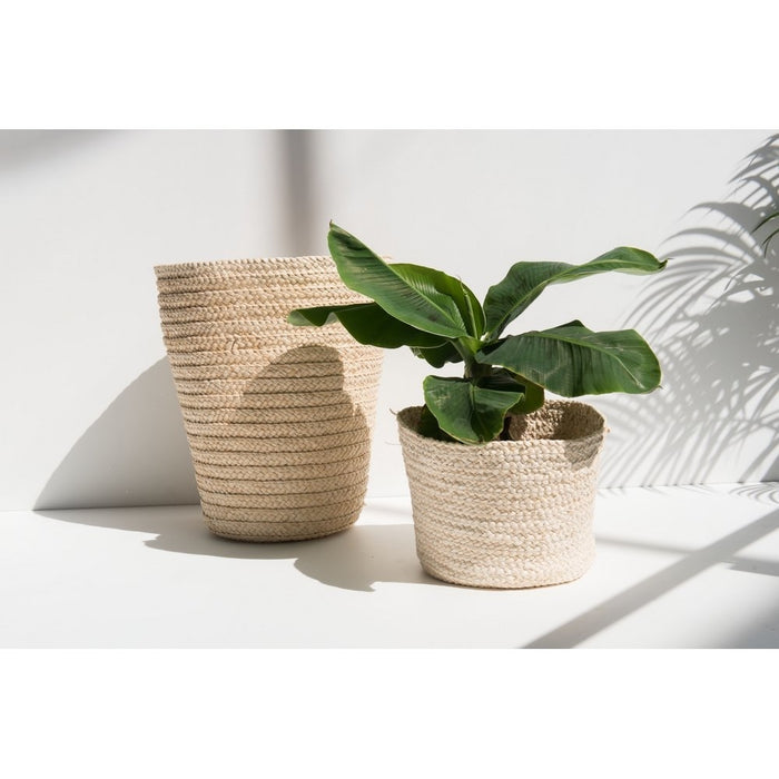 258733-3.jpg (3289800)