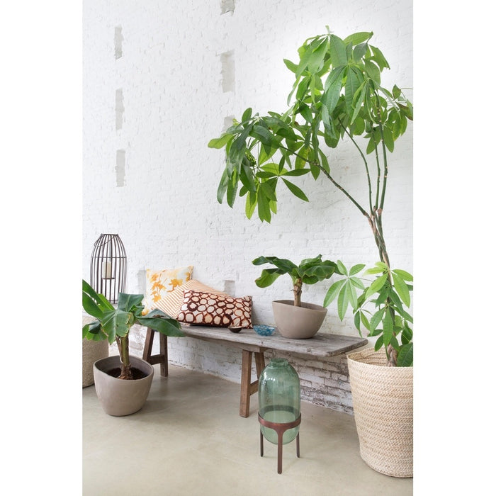 258733-4.jpg (3289801)