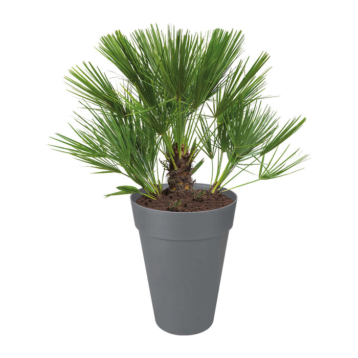 Elho Loft Urban Round High Bloempot 28 cm Antraciet