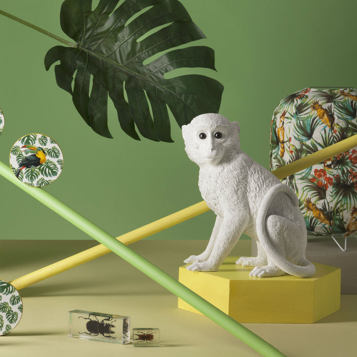 &k amsterdam Coinbank Monkey Spaarpot