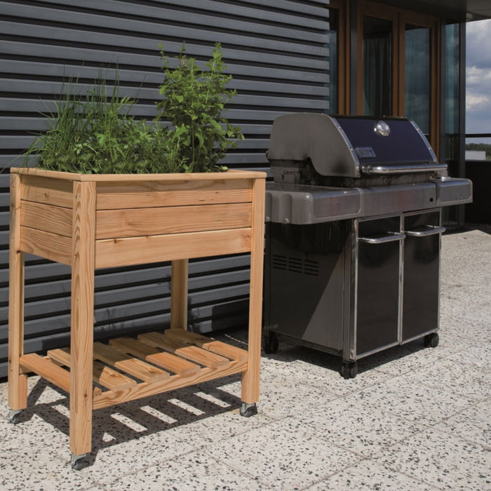 Royal Well Planter-On-Wheels Kweektafel