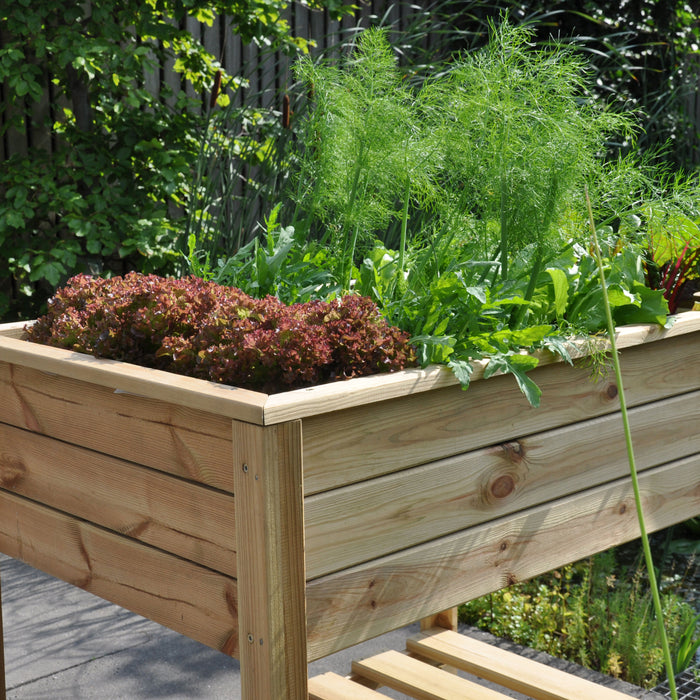 Royal Well Planter-On-Wheels Kweektafel