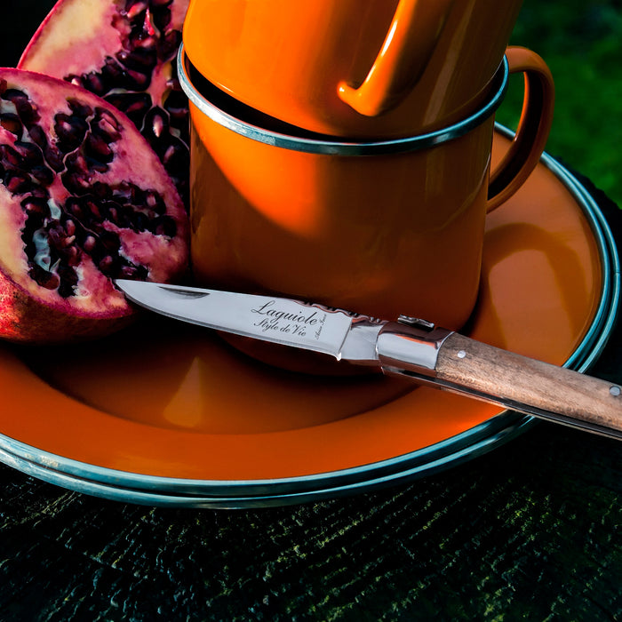 Laguiole Style de Vie Zakmes