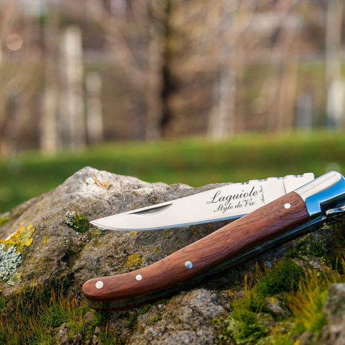 Laguiole Style de Vie Zakmes