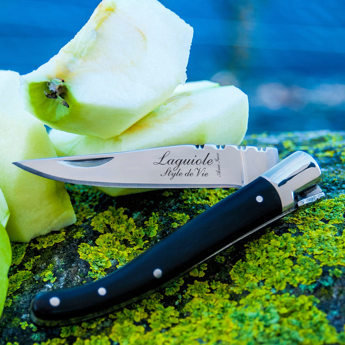 Laguiole Style de Vie Zakmes