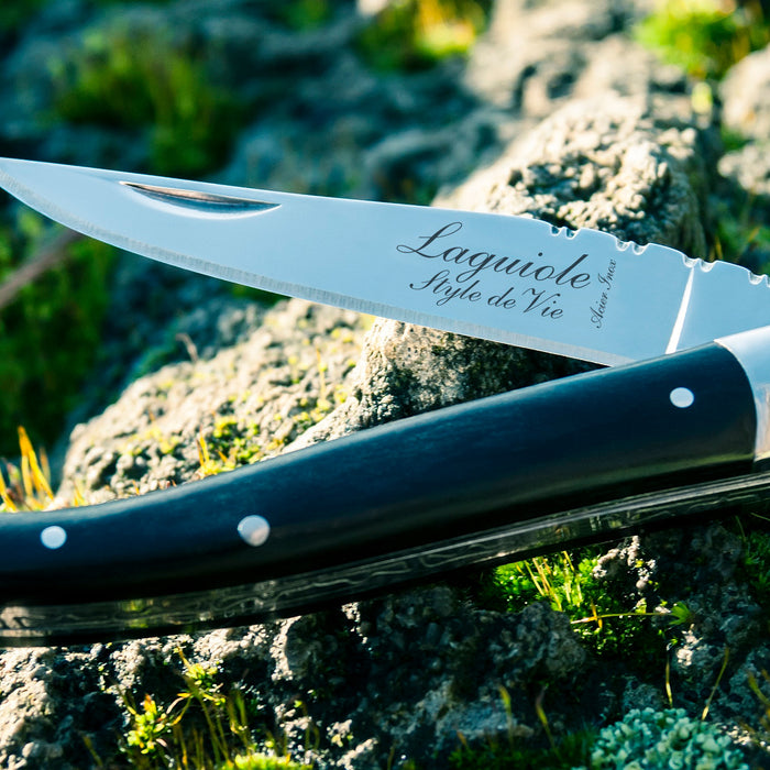 Laguiole Style de Vie Zakmes