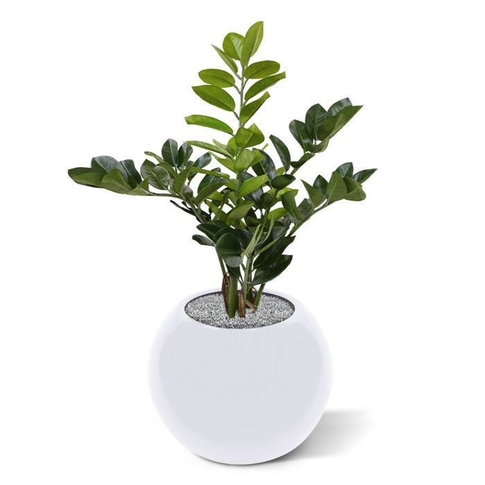 785603d6-2257-4faa-b7a4-c436e054ceb7-afbeelding3.jpg (3332123)