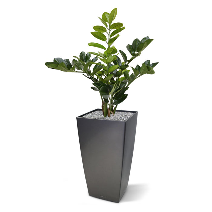 785603d6-2257-4faa-b7a4-c436e054ceb7-afbeelding5.jpg (3332125)