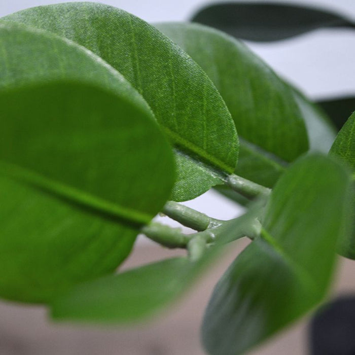 785603d6-2257-4faa-b7a4-c436e054ceb7-afbeelding6.jpg (3332126)