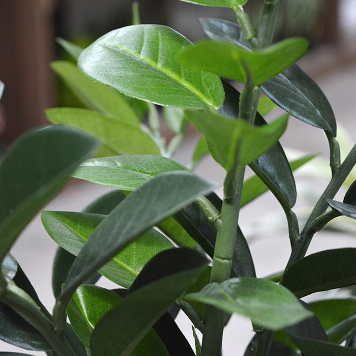 785603d6-2257-4faa-b7a4-c436e054ceb7-afbeelding8.jpg (3332128)