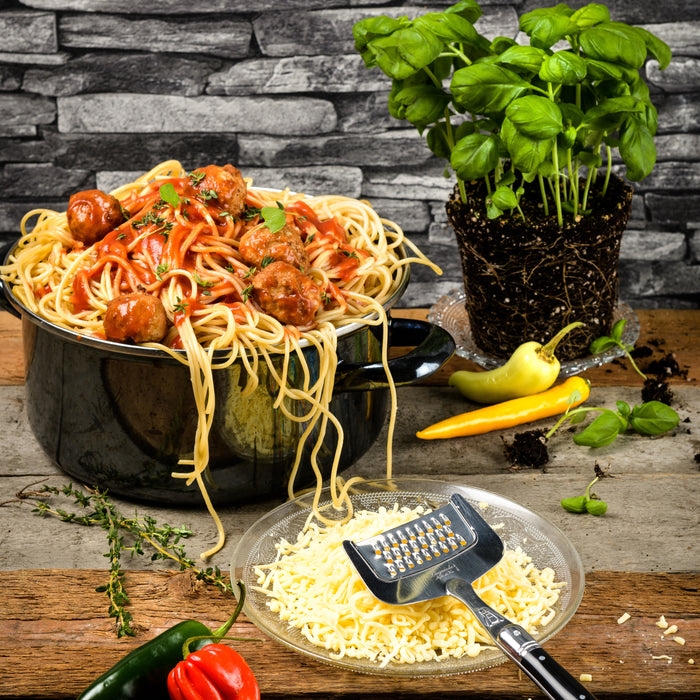 Laguiole Style de Vie Premium Line Kaasschaaf en Kaasrasp