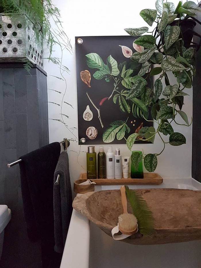 Villa Madelief Tuinposter botanisch vijgen (50x70cm)