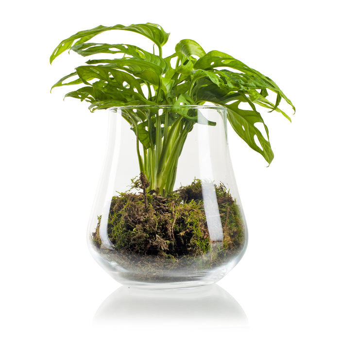 be3a0842-b813-4e83-bfcd-de22304e5d5c-sfeerbeeld.jpg (3355662)