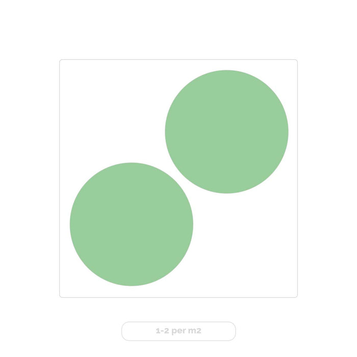 Bloomique - 2x Eucalyptus gunnii - Gomboom - ⌀14 cm - ↕25-35 cm