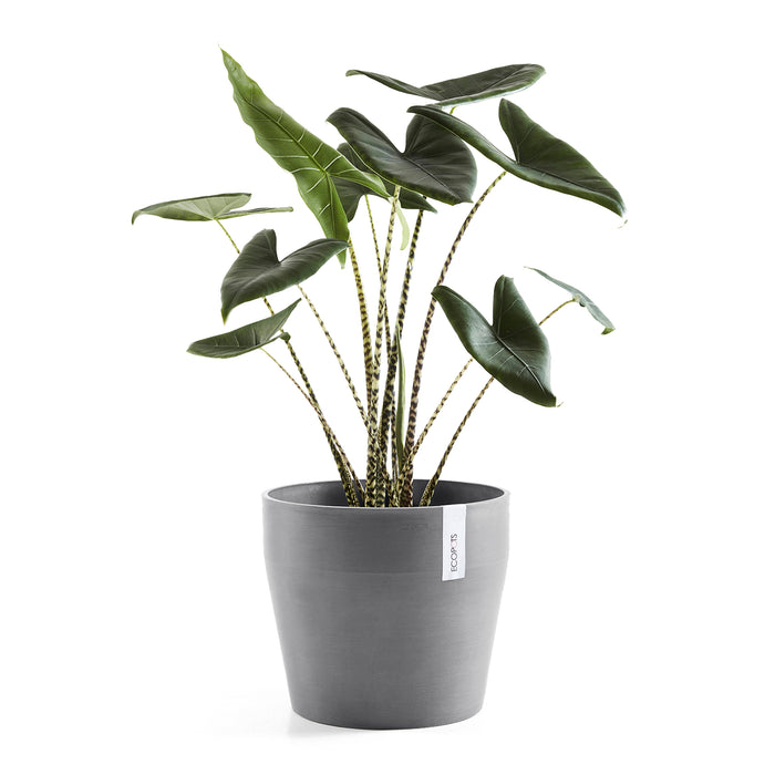 Ecopots Sankara 40