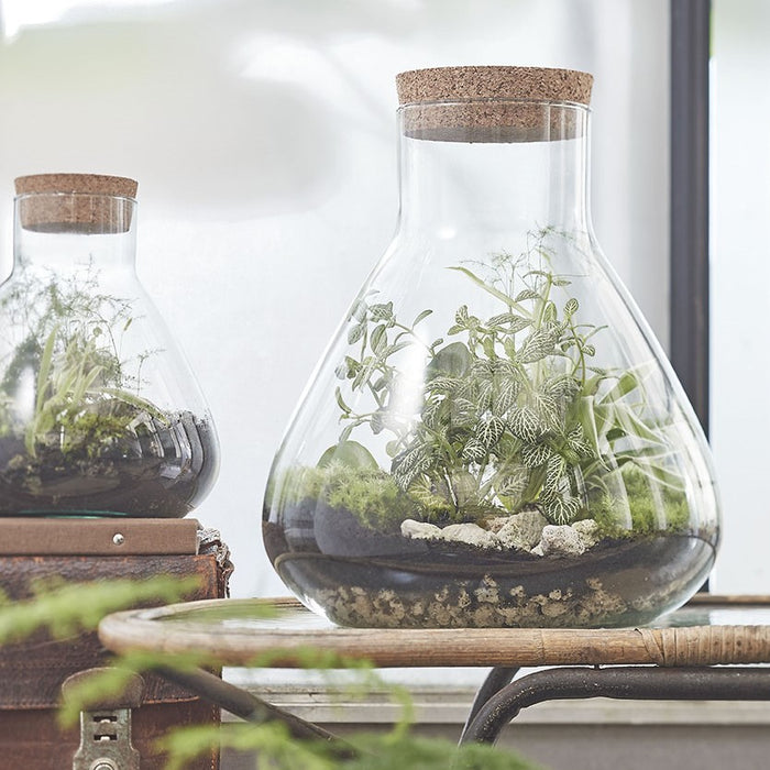 Mica Decorations Emily Voorraadpot Glas Transparant - 32 x ¯29,5 cm