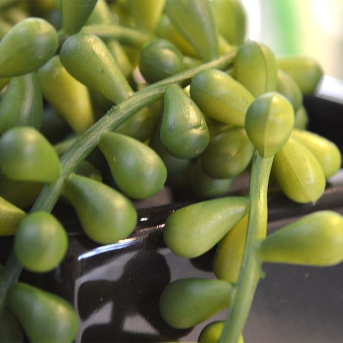 4f522a96-93aa-4584-9b1e-5265026f90f7-afbeelding3.jpg (3367287)