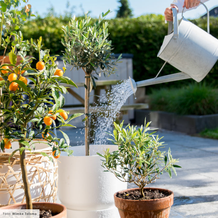 elho Greenville Bloempot 40 cm