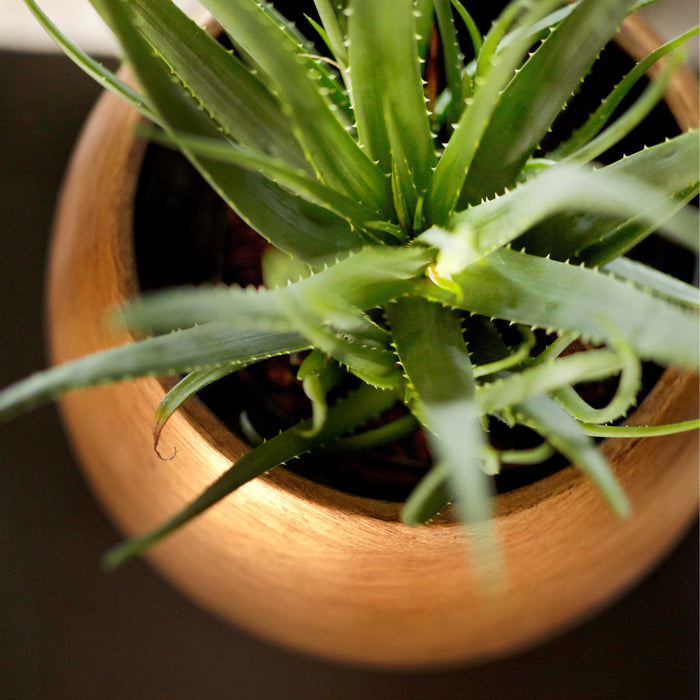 296768-x02.jpg (3386265)