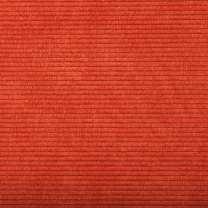 113770-x3.jpg (3391551)