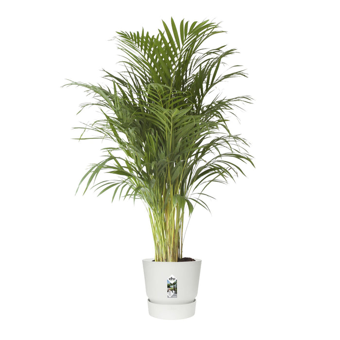 elho Greenville Bloempot 47 cm