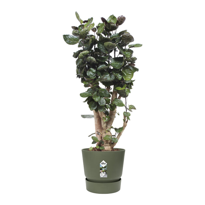 elho Greenville Bloempot 47 cm - 100% gerecycled kunststof