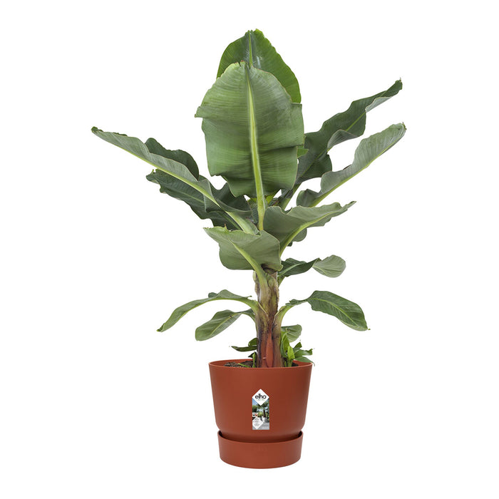 Elho Greenville Bloempot 47 cm