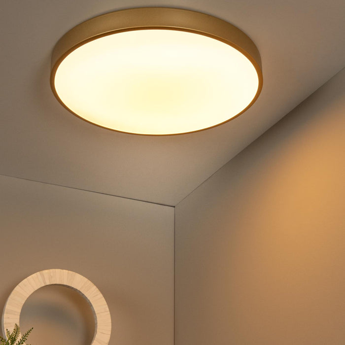 d4944e08-e14c-4b6a-9da8-0f23d673f84d-afbeelding4.jpg (3413366)