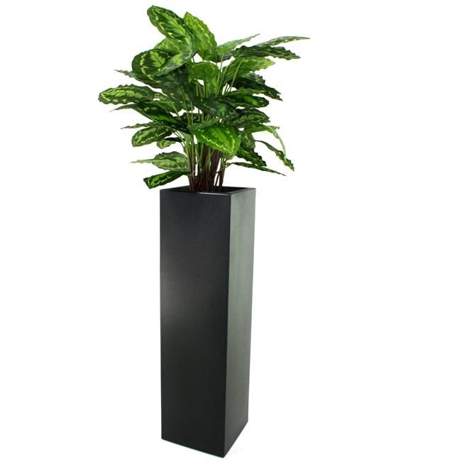 37deb0e5-3ec6-4fe3-a5f2-2fa71d742beb-afbeelding6.jpg (3432062)