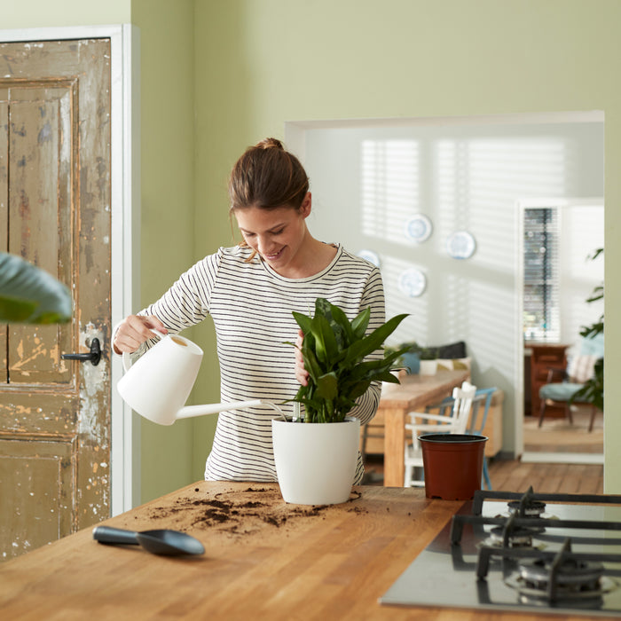 259790-x05.jpg (3447087)