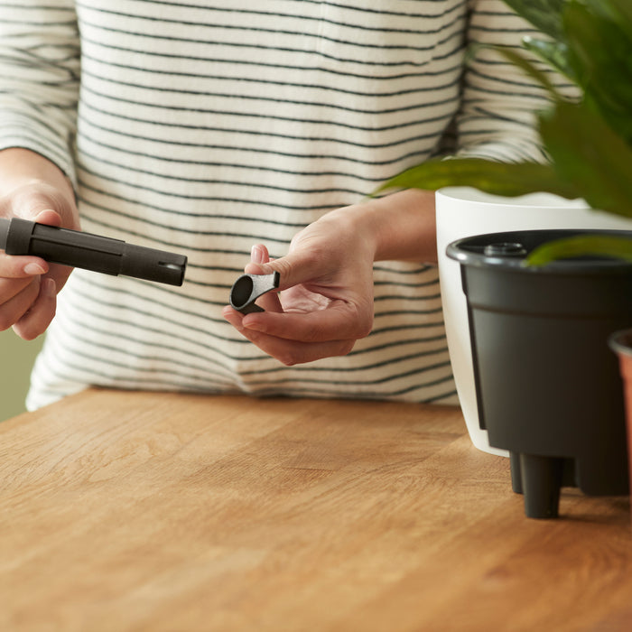 259792-x02.jpg (3452781)