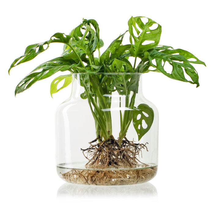 b29ee097-03cb-4a2e-8f71-5a8fd7be0ce4-sfeerbeeld.jpg (3456473)