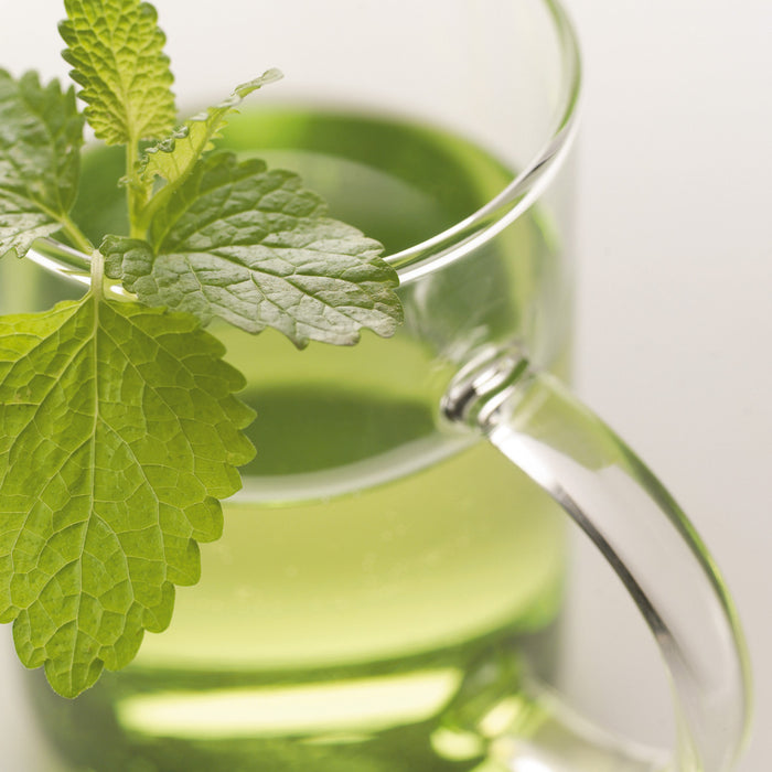 Leonardo Novo Theeglas 0,57 L - 6 st