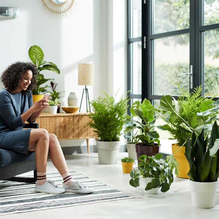 259798-x01.jpg (3469261)