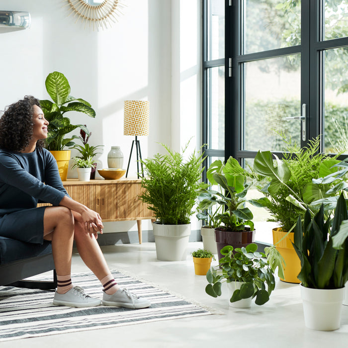 259801-x01.jpg (3477853)