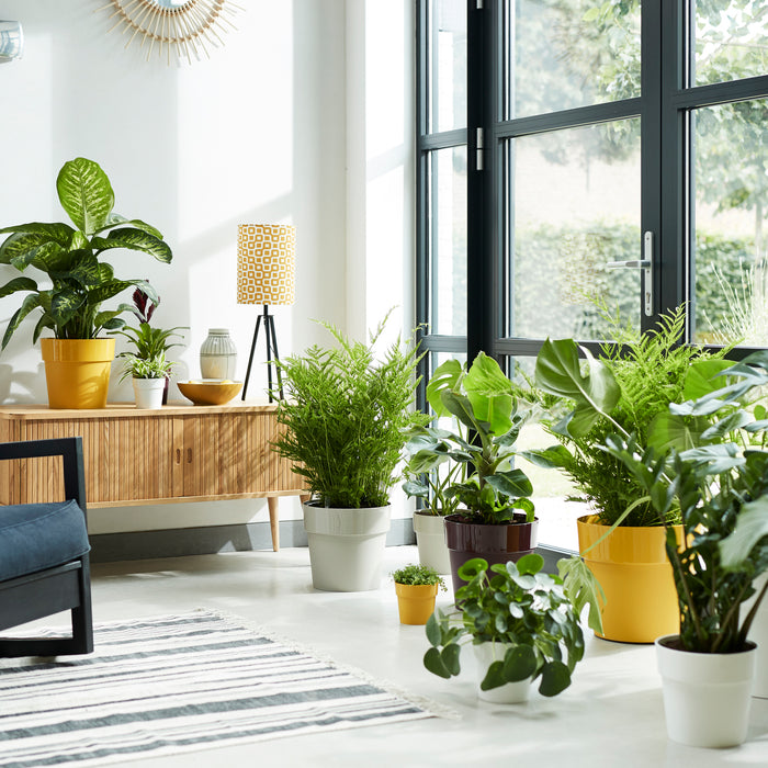 Elho B.For Original Bloempot 35 cm met Wielen