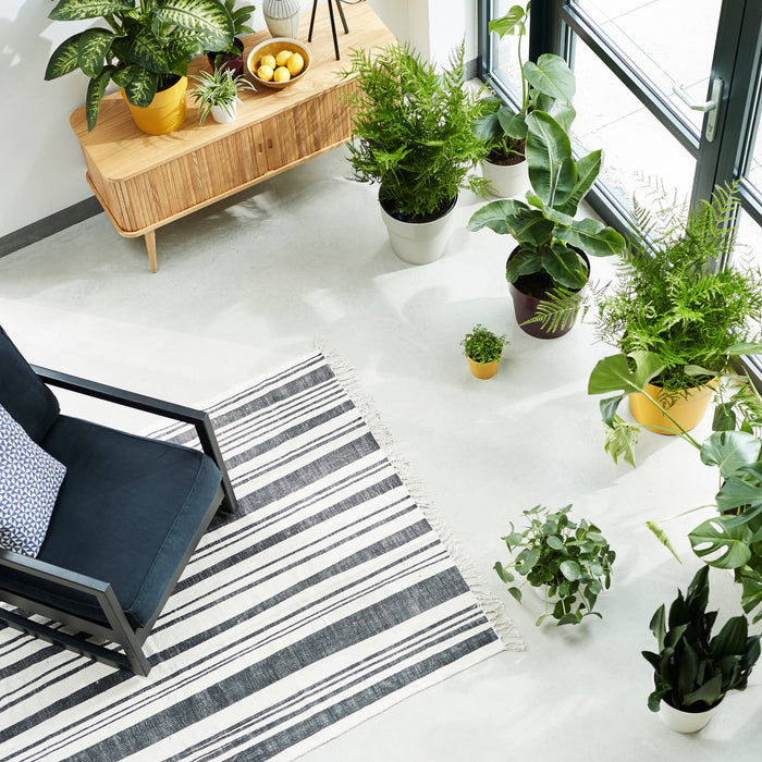 Elho B.For Original Bloempot 35 cm met Wielen