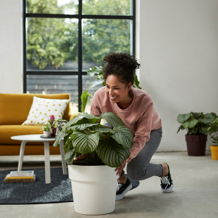 Elho B.For Original Bloempot 35 cm met Wielen