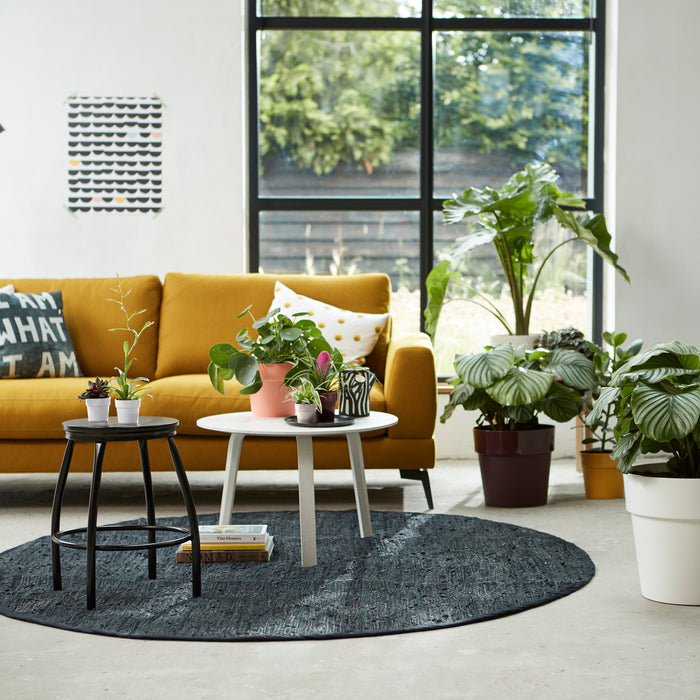 259804-x02.jpg (3486178)