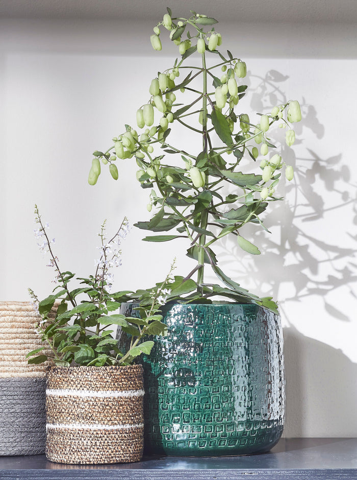 59c67438-0543-4388-8eae-3e606faec0bb-afbeelding8.jpg (3490570)