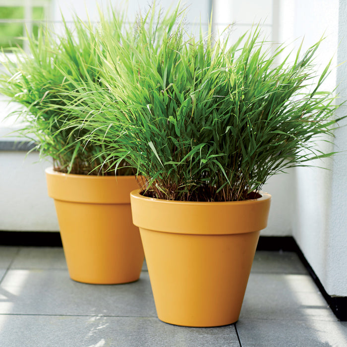 Elho Pure Round Bloempot Ø 40 cm - Geel