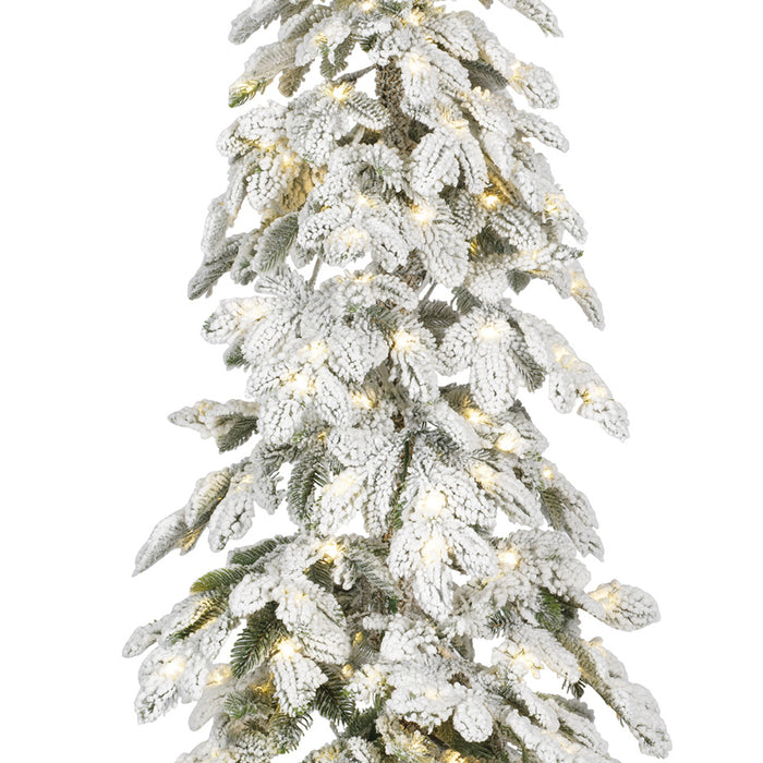 Alpine fir Micro LED indoor